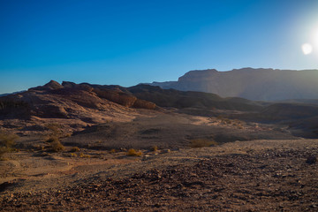 Fototapeta na wymiar Solitary desert rocks under the blue sky in Timna park near Eilat Israel