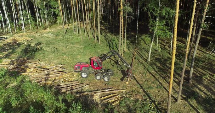 A cut-to-length (CTL) forest harvester. Pine Forest Harvesting Machine. Logging Equipment. The forestry industry. The harvester lumberjack working in a forest. Forest Wheeled Harvesters.