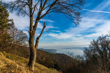 Obraz premium Panorama Blick Bodensee mit Alpen und blauen Himmel 