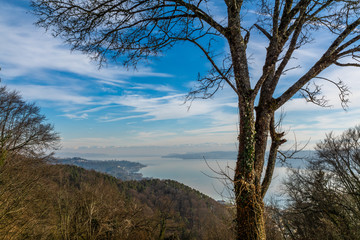 Fototapeta na wymiar Panorama Blick Bodensee mit Alpen und blauen Himmel 