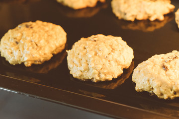 Closed up of hot baking oatmeal raisin cookies on black plate pan in the oven, using raisin and oat for main ingredient