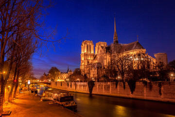Fototapeta premium Blue nignt in Paris, sunset over The Notre Dame Cathedral, France