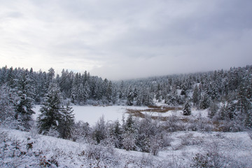 Winter landscape of snow covered evergreen forest with overcast sky above