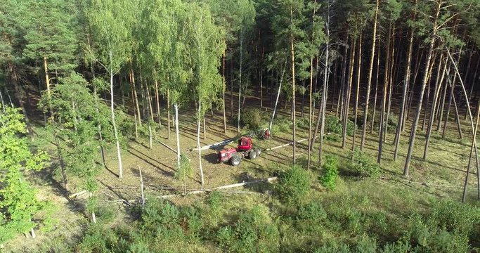 A cut-to-length (CTL) forest harvester. Pine Forest Harvesting Machine. Logging Equipment. The forestry industry. The harvester lumberjack working in a forest. Forest Wheeled Harvesters.