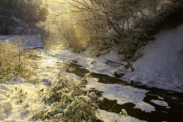 冬の葛丸川渓流