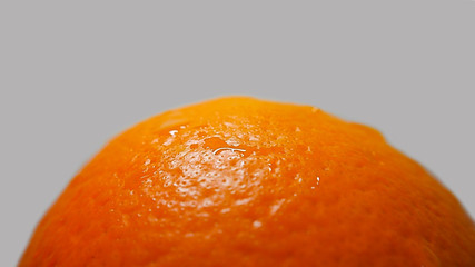 Juicy Orange. Closeup . gray background. Orange texture. Ripe whole Orange citrus fruit....