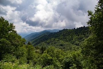 Fototapeta na wymiar View from road in Great Smoky Mountains National Park