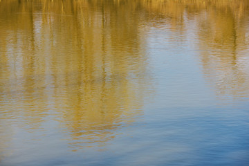 Reflections  in the water