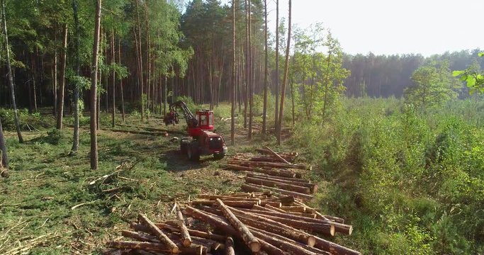 A cut-to-length (CTL) forest harvester. Pine Forest Harvesting Machine. Logging Equipment. The forestry industry. The harvester lumberjack working in a forest. Forest Wheeled Harvesters.