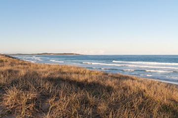 Fototapeta na wymiar Coastal landscape with dry grass and mild waves