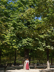 Fototapeta na wymiar Femme sous un arbre en été jardin du luxembourg