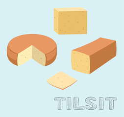 Food Cheese Type Tilsit Vector Illustration