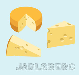 Food Cheese Type Jarlsberg Vector Illustration