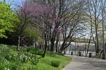 Spring day in Cincinnati downtown