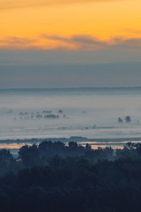 Mystic view on forest under haze at early morning. Mist among tree silhouettes under predawn sky. Gold light reflection in water. Calm morning atmospheric minimalistic landscape of majestic nature.