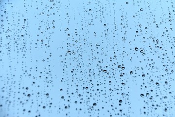 Rain on a Window