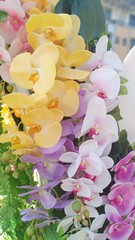 Orchid flower volume 855368555