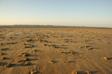 Normandie in Frankreich