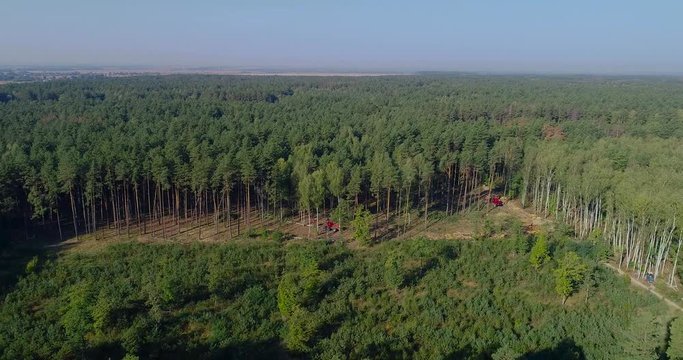 Deforestation on an industrial scale, logging aerial view, deforestation of the old pine forest. A cut-to-length (CTL) forest harvester. Pine Forest Harvesting Machine. The forestry industry.