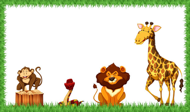 animals in nature frame