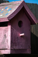 Pink Birdhouse