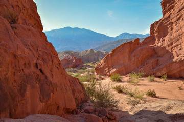 Fototapeta premium 18