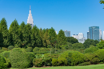 Obraz premium Summer park landscape with tall office buildings on the background