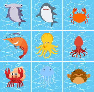 Set of sea creature character