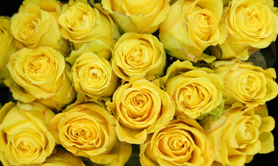 Fototapeta na wymiar Fresh yellow roses bouquet flower background 