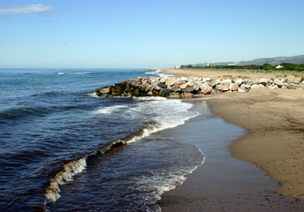 Delta del Llobregat. Natural Park in Barcelona. El Prat. Spain