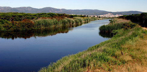 Fototapeta na wymiar Delta del Llobregat. Natural Park in Barcelona. El Prat. Spain