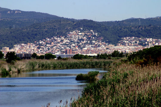 Delta del Llobregat. Natural Park in Barcelona. El Prat. Spain