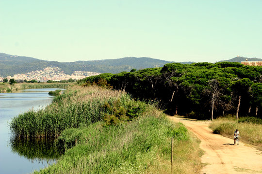 Delta del Llobregat. Natural Park in Barcelona. El Prat. Spain