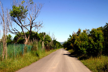 Delta del Llobregat. Natural Park in Barcelona. El Prat. Spain