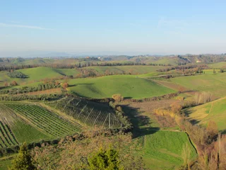Store enrouleur Toscane Winter tuscany landscape with green fields and blue sky from tower of medieval town Certaldo  © Sergei Timofeev