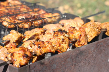meat on the grill
