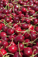 Many red ripe cherries in a bin ready to be packaged for sale