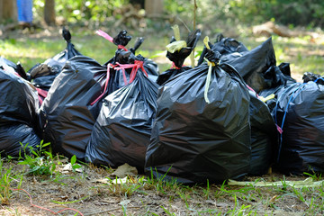 The black garbage bag are tied with yellow and red straw,Garbage dump.