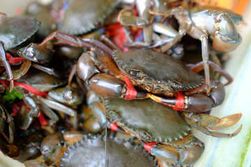 Seafood in market selling in Thailand 