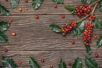 Fototapeta na wymiar Close up fresh organic red coffee beans with coffee leaves on wooden background with copy space
