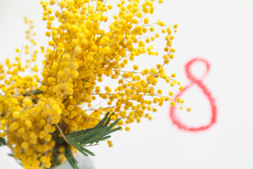Branch of yellow mimosa on white background. Near red 8