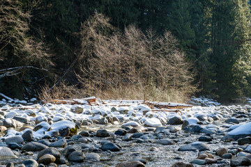 clear water rushing down the rocky creek inside forest on a sunny winter morning  with rocks covered with thin layer of snow