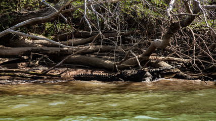  Magic mountains, sheer cliffs, monkeys, crocodiles - Canyon del Sumidero