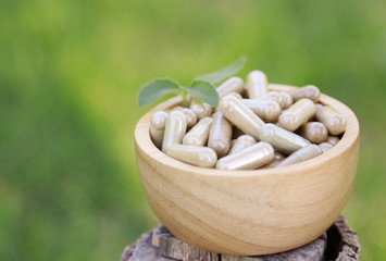 herbal medicine with herb for health eating 