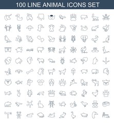 100 animal icons