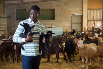 African-American man with goatlings on goat farm
