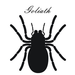 vector illustration of a scorpion