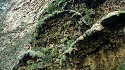  Magic mountains, sheer cliffs, monkeys, crocodiles - Canyon del Sumidero