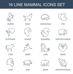 16 mammal icons