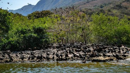  Magic mountains, sheer cliffs, monkeys, crocodiles - Canyon del Sumidero